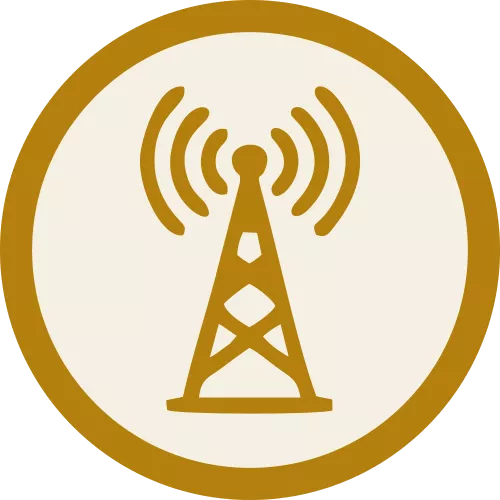 Telecom / IoT sector